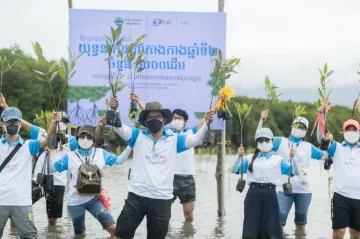 Mangrove Environmental Conservation Supporter