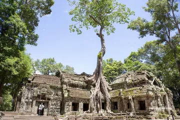 Ta Prohm Temple